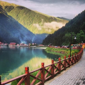 ����Ժ�k���d�P���Mһ���ӏ������Ј��C�ϱO�ܵ�֪ͨ